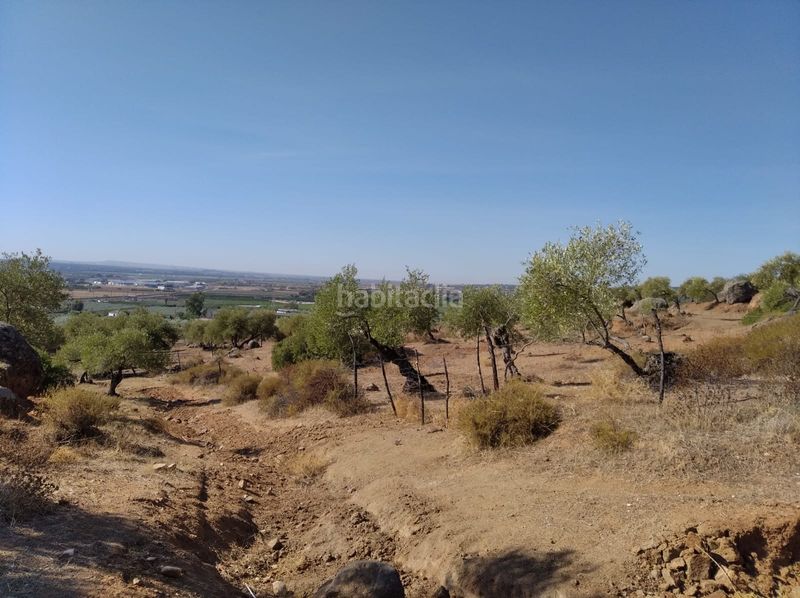 Foto 0b895861-7166-4bd8-9258-b71d81868d09. Finca rústica en Lora del Río