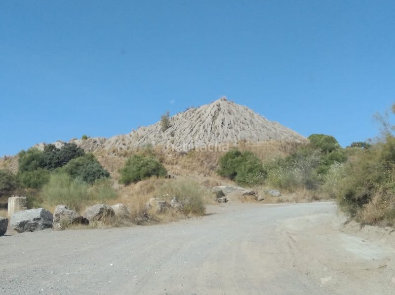 Foto 8380e43f-d9e2-48b3-a522-bd1904ce9d6c. Finca rústica en Lora del Río
