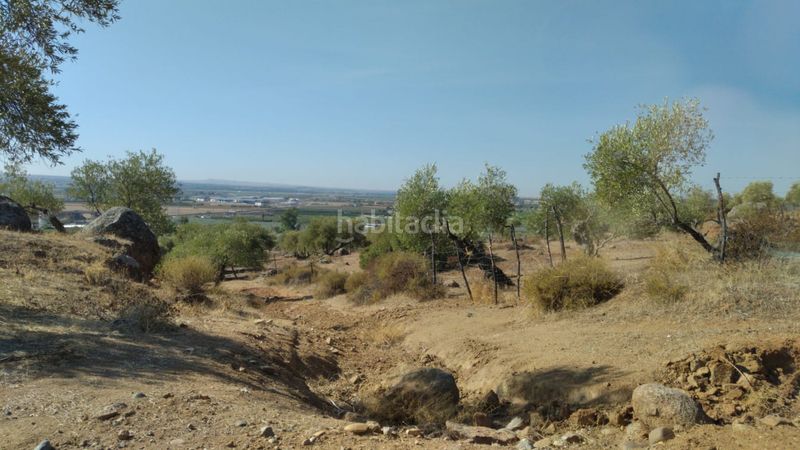 Foto 9e321077-bc2a-4e52-9fa2-88bb69836510. Finca rústica en Lora del Río