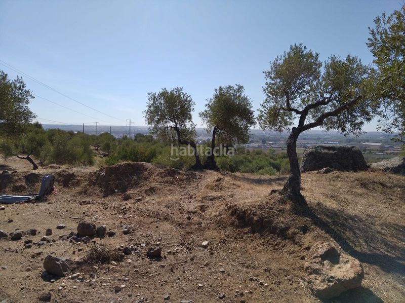 Foto f4e5ea6d-3d22-4584-98e5-5159b1b93604. Finca rústica en Lora del Río