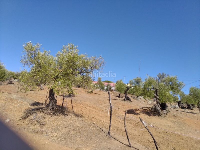 Foto fded6951-b641-405d-bc05-f93c2fa27f2d. Finca rústica en Lora del Río