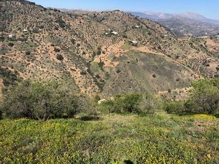 Propriété  Diseminado r3