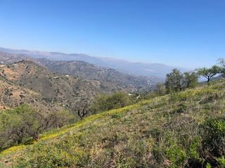 Propriété  Diseminado r3