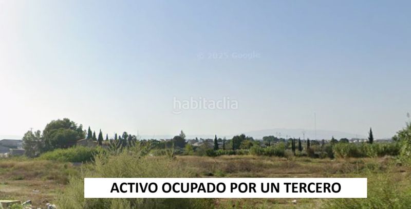 Foto 17943a04-968d-4025-bcab-3125863a1e16. Pis a Alguazas