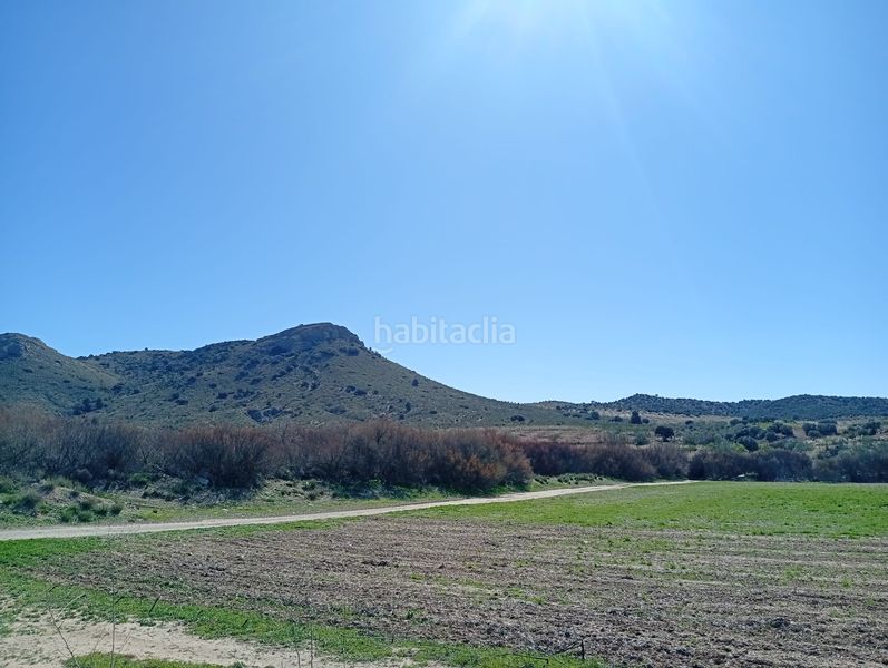 Foto 5c34c1ee-47c9-409f-b0b7-e11b5b2e6de6. Finca rústica en Vélez - Rubio