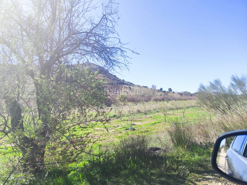 Foto a85e2384-2493-41ed-bf6b-f5e449f9e8fb. Finca rústica en Vélez - Rubio