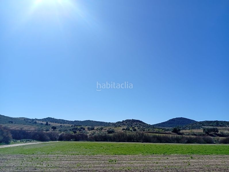 Foto d7d6ffe5-2681-46b6-babf-0b6e8e553285. Finca rústica en Vélez - Rubio