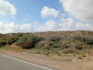 Landgut  Rambla la higuera