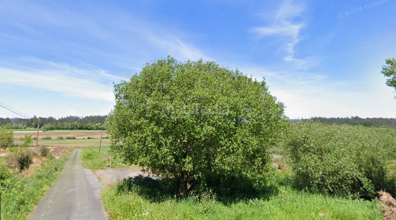 Foto 2b80a6ac-1a56-4122-afdd-b624951e878e. Rural plot in rosende 17 in Zas