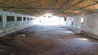 Fabrikhalle in Estación-Manantiales