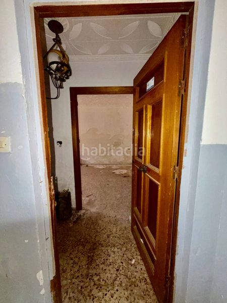 Foto 77168af7-c9d6-4ed5-9efb-340c08297c8d. Pis a Balanegra