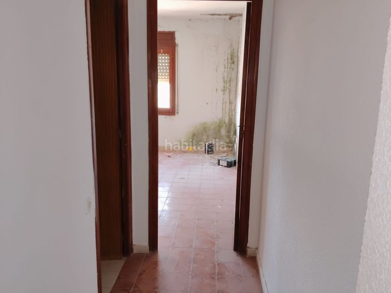 Foto 88c7d9a4-4629-4857-906a-939e25de2436. Pis a Masroig (El)