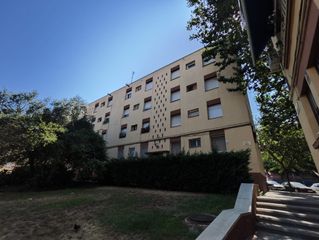 Pis a Illa Àurea