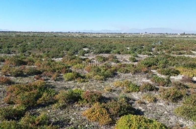 Foto 3cf58cce-ce68-403e-a8c6-24e682cd3c46. Terreno residenziale in Centro Elche / Elx