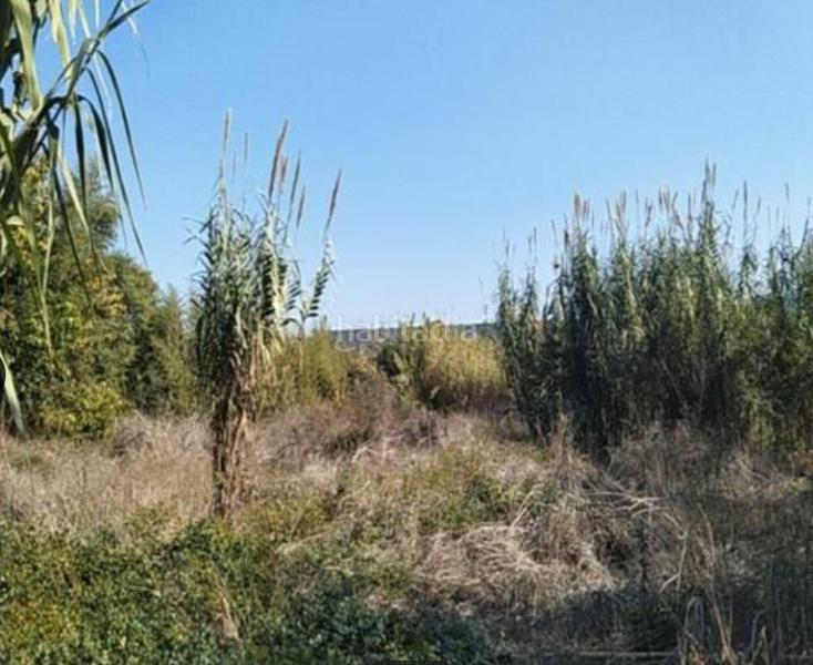 Foto 4f839474-6540-4108-ac3d-af4b4ea1fc41. Terreny residencial a Alberca Murcia