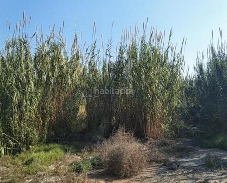 Foto 307e337a-90ce-4f89-8707-f5a64b15f7bf. Wohngrundstück in Alberca Murcia