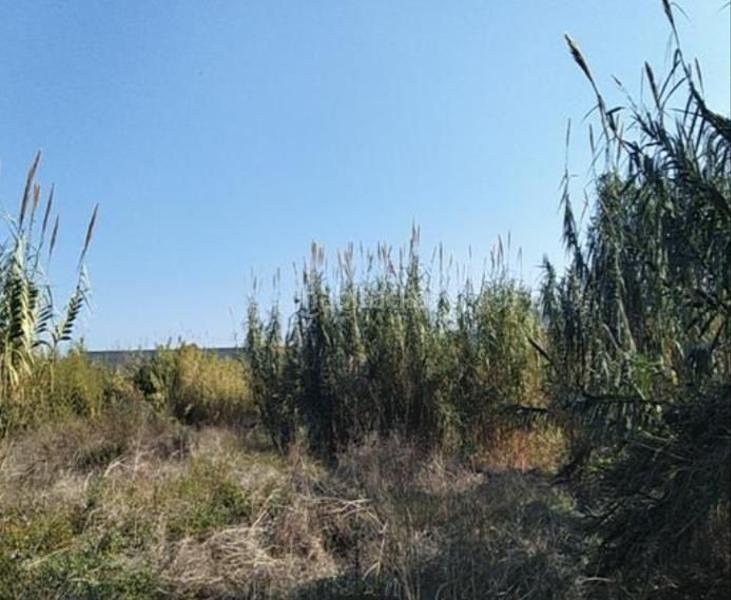 Foto be1b965b-0dc7-4f56-85fa-b486547dff61. Wohngrundstück in Alberca Murcia