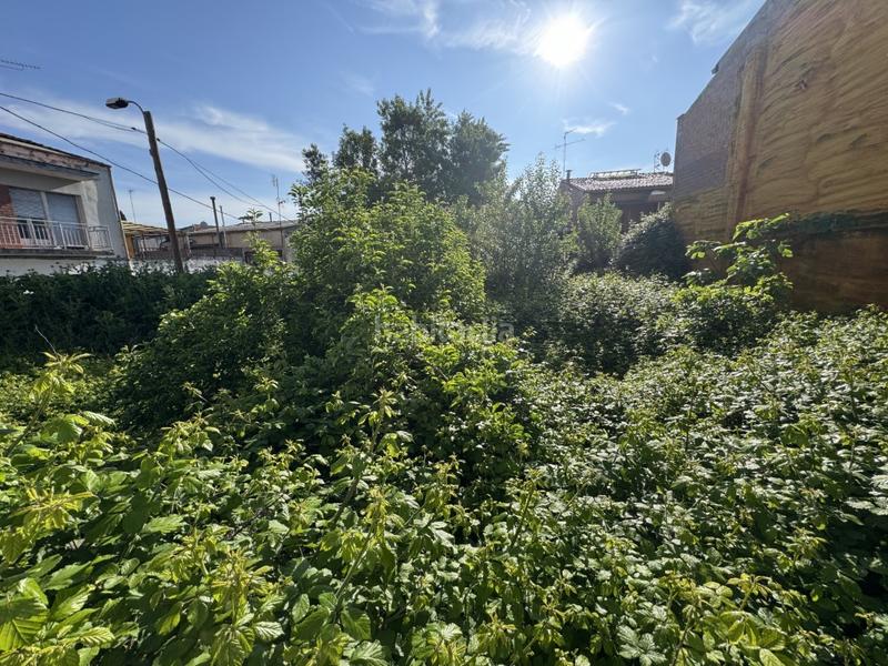 Foto e84cb13b-d5ce-468d-83e7-677ed38c57a6. Terreny residencial a Sant Vicenç de Castellet