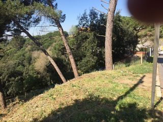 Terreno residencial  Dalia. Zona residencial