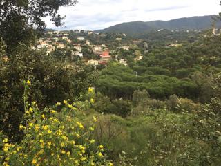 Terreny residencial a Poble. Parcela venta calonge