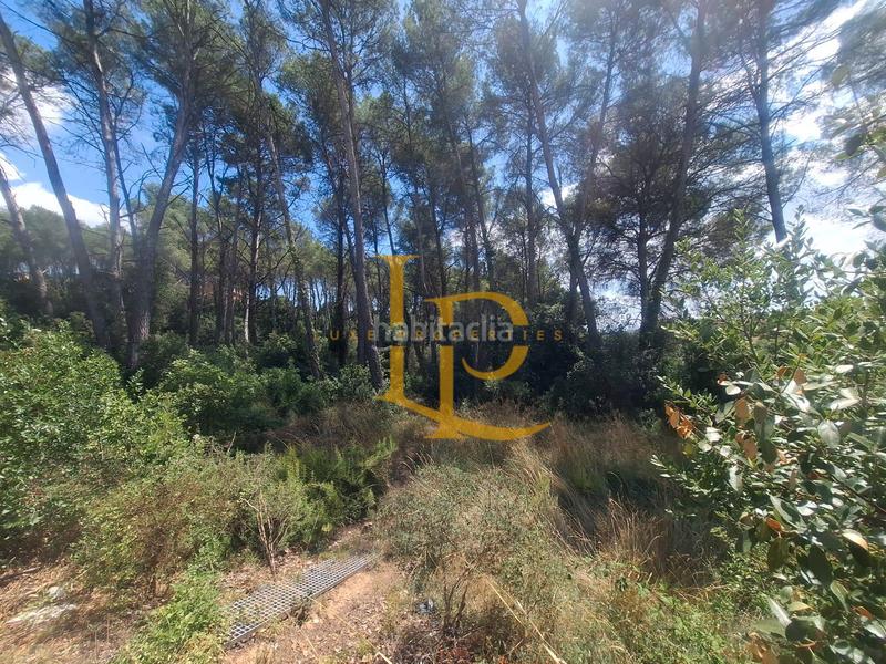 Foto a7f10db9-87c3-4e6d-901b-572108eacda3. Terreno residencial oportunudad! terreno con proyecto incluido de casa con piscina en sant muc- castellnou - can mir! en Rubí