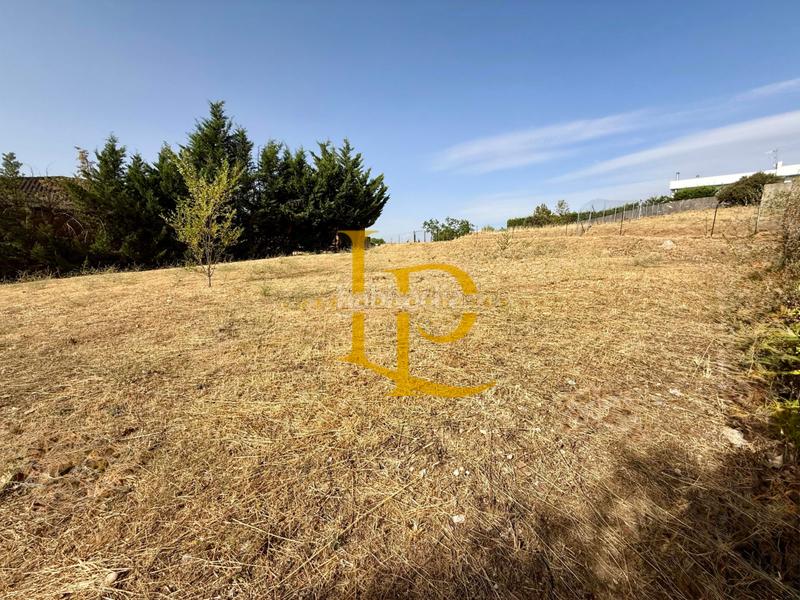 Foto 10a6a491-6839-4b09-9124-b60193f7b3e4. Wohngrundstück in Casar (El)