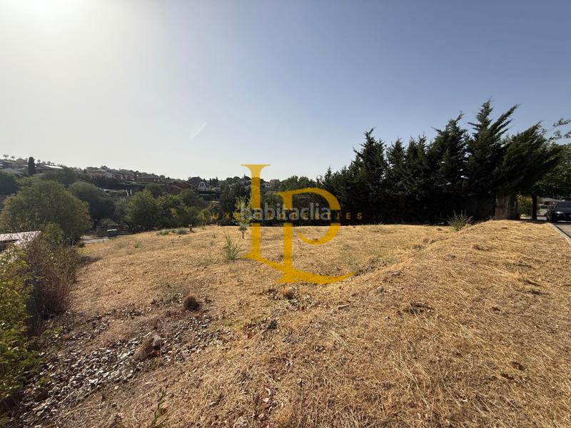 Foto 8a44a803-3f52-414b-ad1d-9219db8f3664. Wohngrundstück in Casar (El)