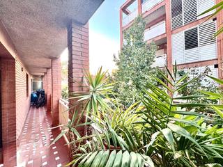 Pis  Avinguda de l'estatut. En venta amplio y luminoso piso exterior de 3 habitaciones, dos