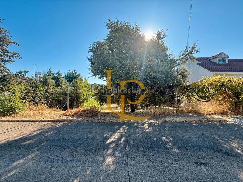 Foto 103ba2fc-67d1-47e3-ace2-d4cd873de439. Terreny residencial a Casar (El)