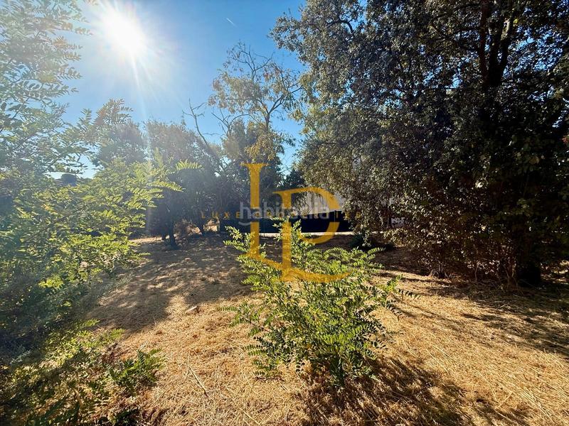 Foto 63553cf6-cf86-4f91-9d8d-354db4817d49. Terreny residencial a Casar (El)