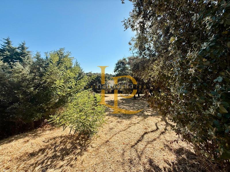 Foto 6b2e7587-4884-42ff-aba2-9e65a9b7e252. Terreny residencial a Casar (El)