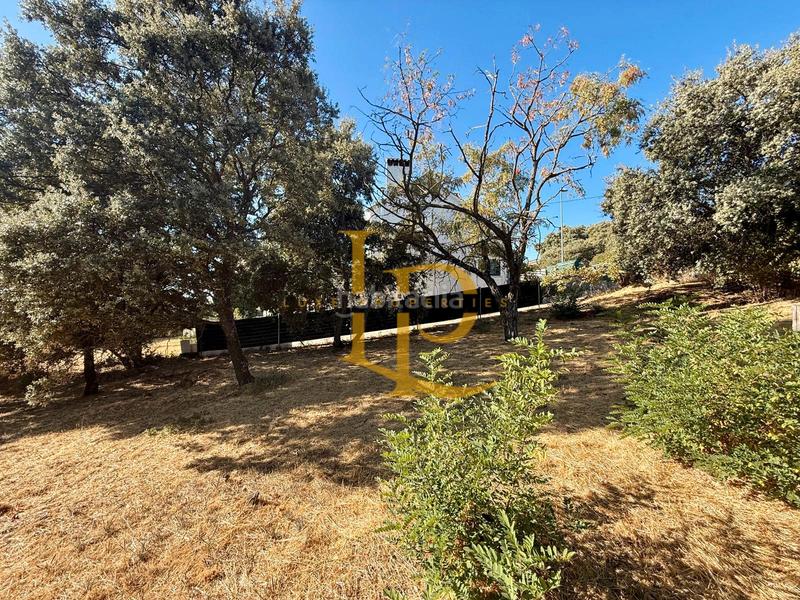 Foto 6de46438-41ae-48b1-a897-030f946d7af8. Terreny residencial a Casar (El)