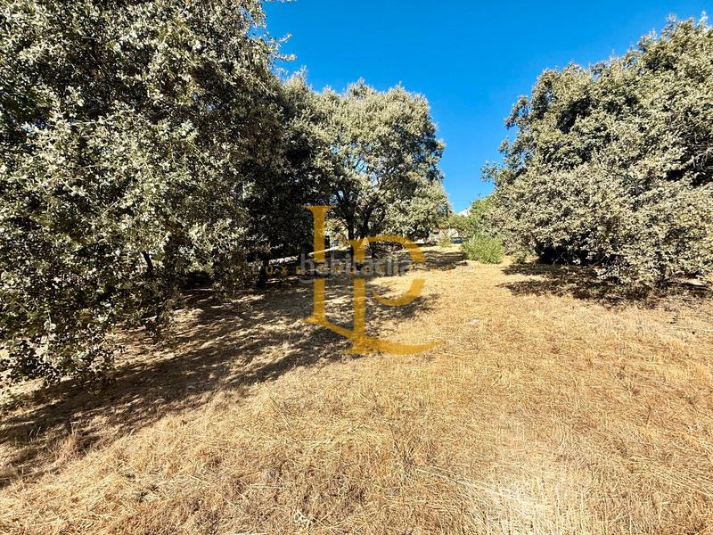 Foto 78fb1576-101e-4d4e-b842-290a2d1d66ed. Terreny residencial a Casar (El)