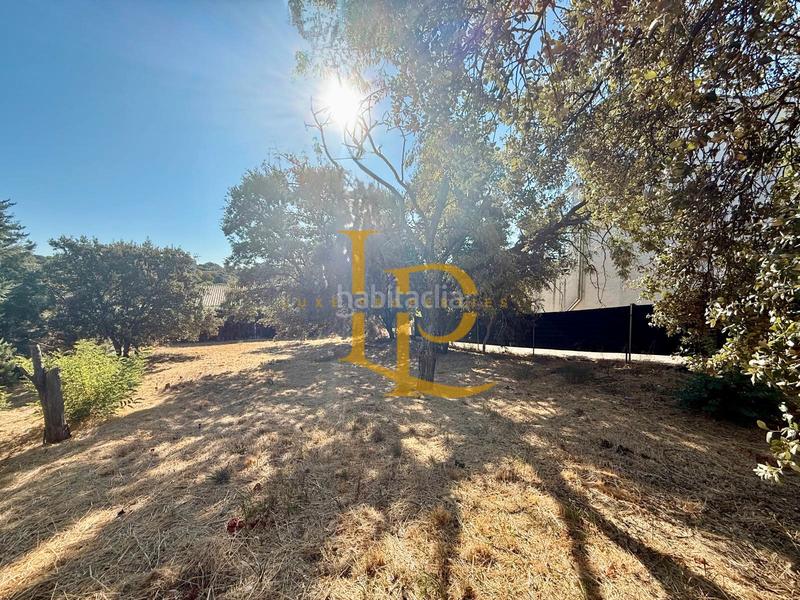 Foto 8c8480bb-faca-4206-a092-025e6689838f. Terreny residencial a Casar (El)