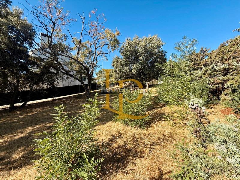 Foto 8de6fc13-bf8b-4032-8177-59ce49176c5a. Terreny residencial a Casar (El)