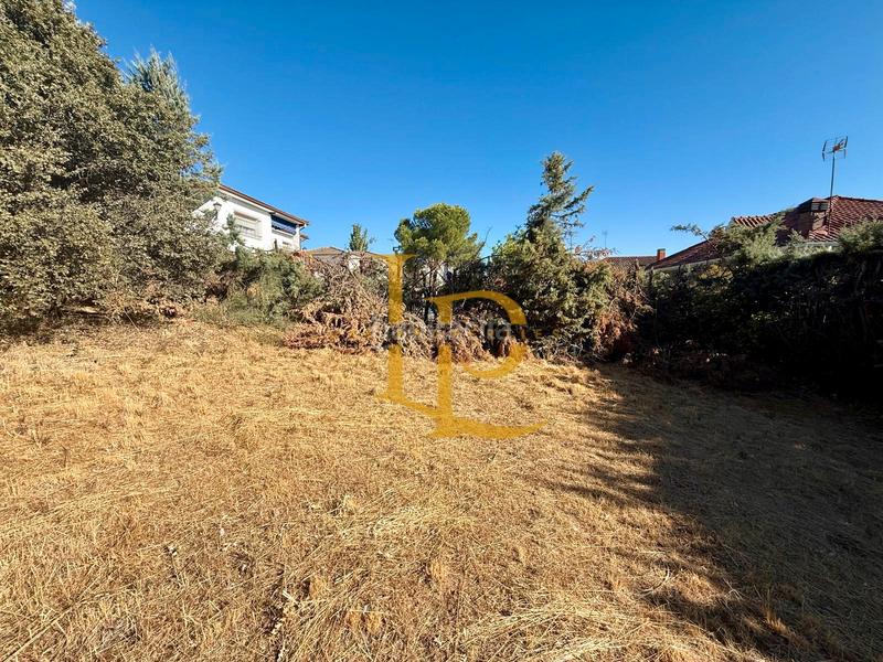 Foto 97322f1e-ecbe-4676-9e2c-8e5eae9fd668. Terreny residencial a Casar (El)