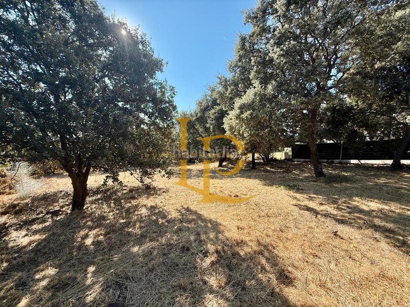 Foto aee8d8ef-34c4-4dab-868c-b3b92c7fc7a9. Terreny residencial a Casar (El)