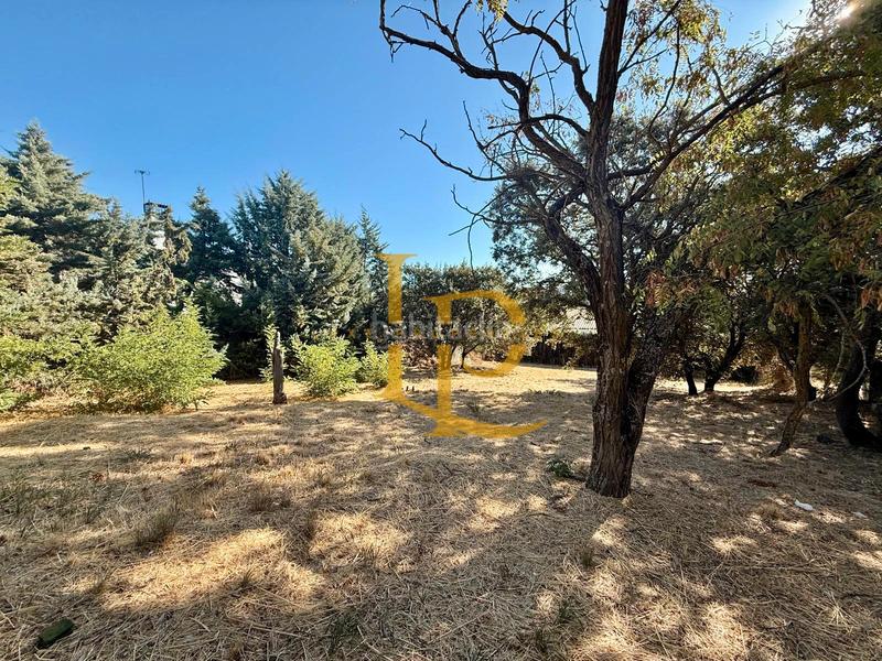 Foto af06bca4-d85c-4ef7-b059-8222e1116e63. Terreny residencial a Casar (El)