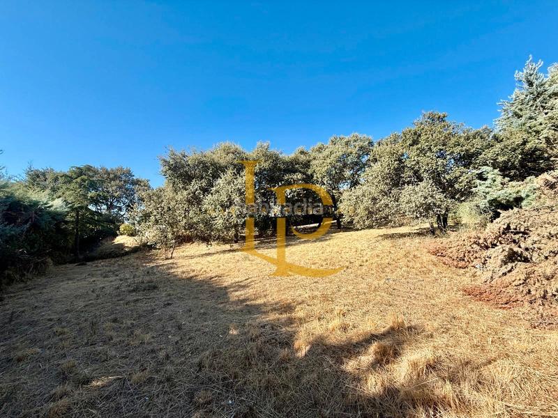 Foto b1c2400e-b0aa-4c87-8c2e-dcc4f976864f. Terreny residencial a Casar (El)