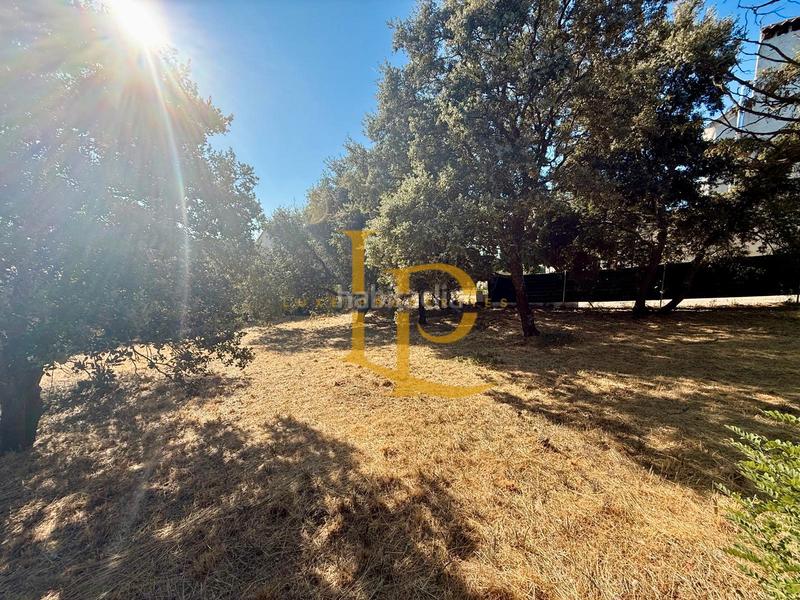 Foto ca1084c9-a2f6-497e-b09b-fc47611e5de8. Terreny residencial a Casar (El)