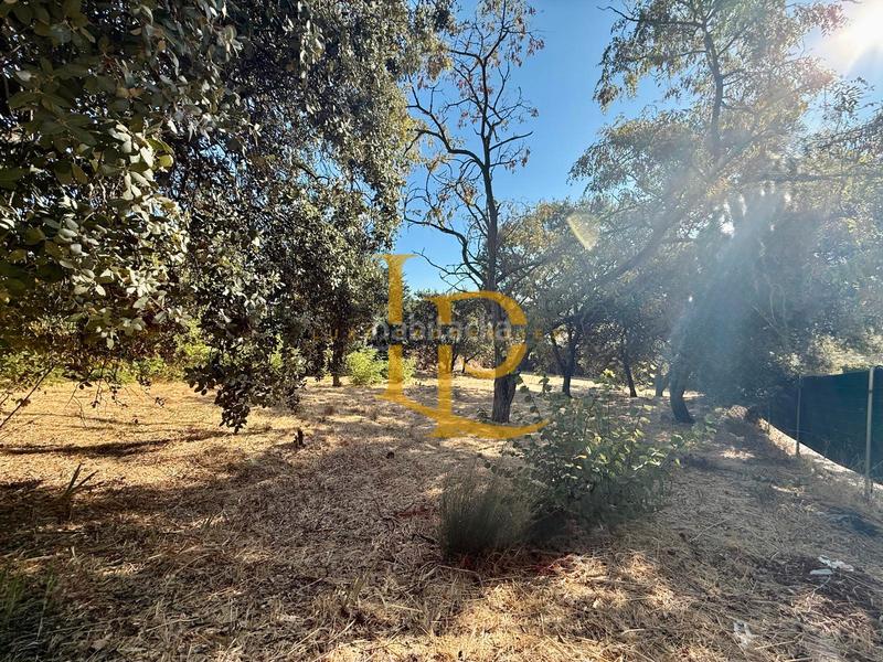 Foto f4f110f0-58d7-4922-a56a-e936132cd3d3. Terreny residencial a Casar (El)