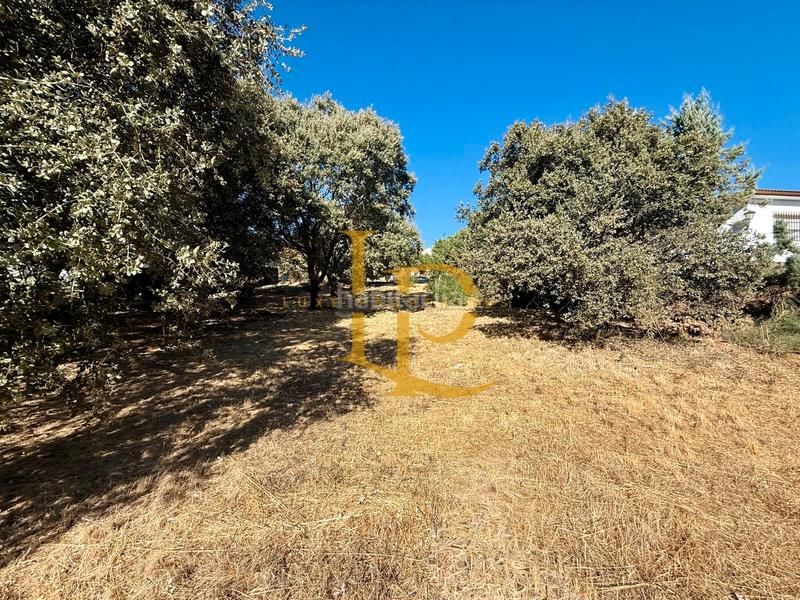 Foto fbfdcb29-ade3-4ed5-81af-0e88436e3a25. Terreny residencial a Casar (El)