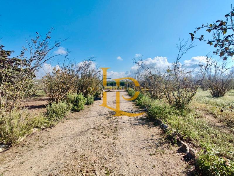 Foto 331f2334-ac72-422e-904e-ef2151f46b07. Haus mit kamin heizung parking pool in Valls