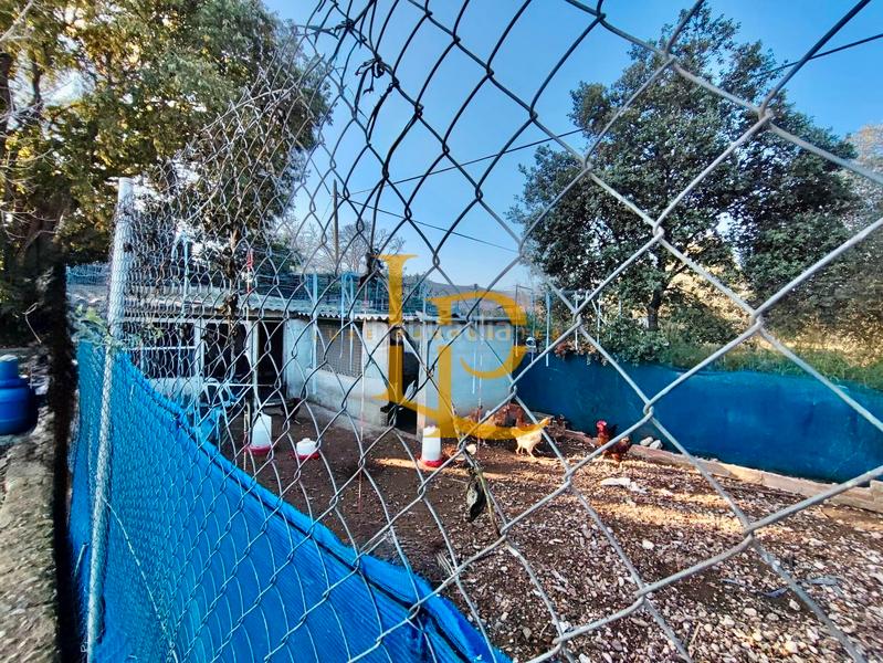 Foto b304062d-3357-4eec-b844-f2d57da5b68b. Haus mit kamin heizung parking pool in Valls