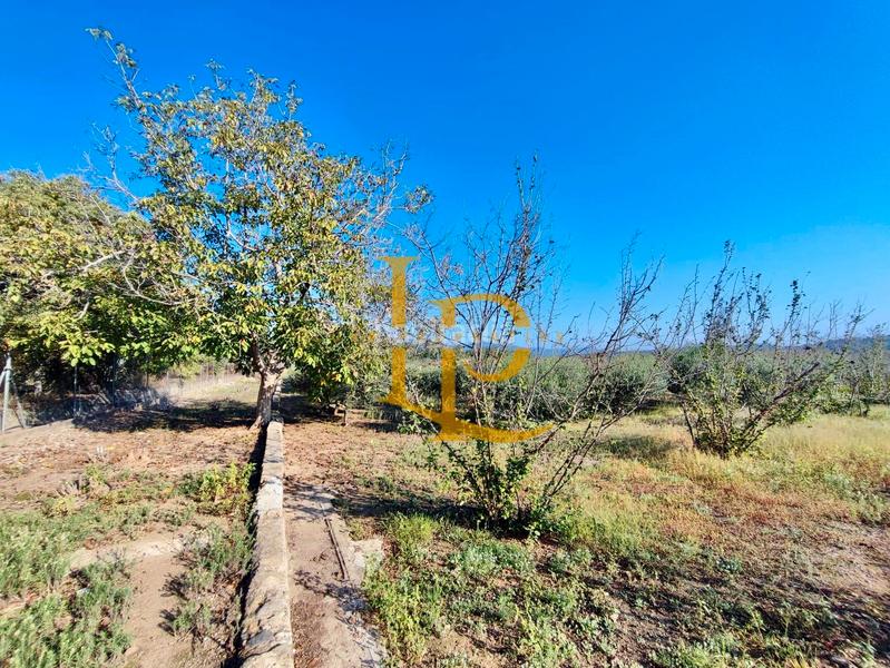 Foto c0ea8159-dee5-401c-b68b-d615514b862d. Haus mit kamin heizung parking pool in Valls