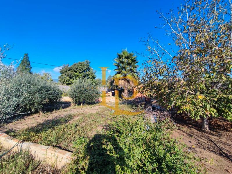 Foto c8efb6d0-7ed2-4d9f-b8bd-6d5e01fd25bc. Haus mit kamin heizung parking pool in Valls