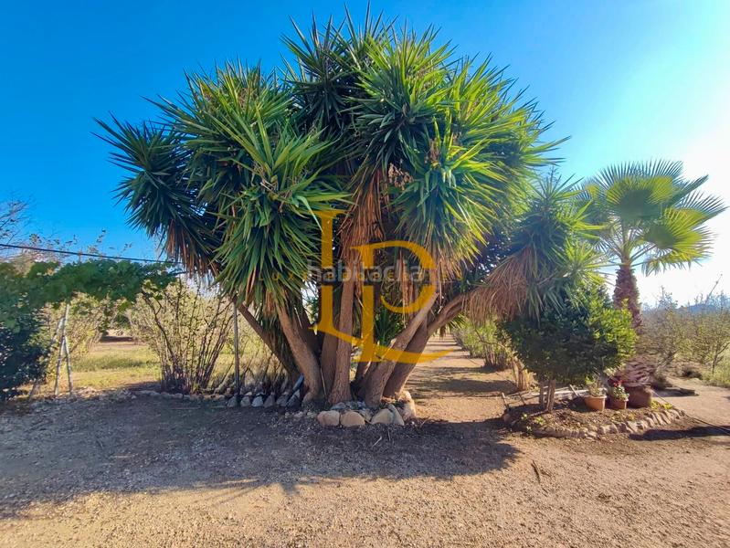 Foto ce1bfcee-1d49-4c40-a00e-d128116c2a2f. Haus mit kamin heizung parking pool in Valls