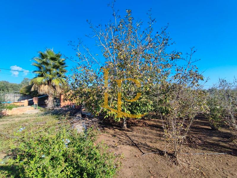 Foto cecec5de-b037-4b8e-9303-916d6a3468ca. Haus mit kamin heizung parking pool in Valls