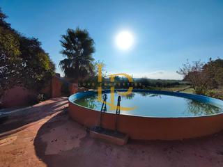 Casa  Carretera d'alcover. Bonita casa con terreno, piscina, casa auxiliar y un gran olivar