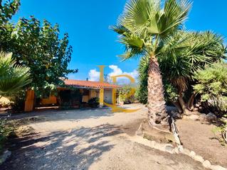 Casa  Carretera d'alcover. Bonita casa con terreno, piscina, casa auxiliar y un gran olivar